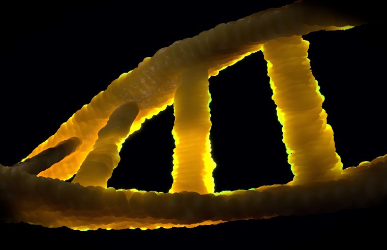 DNA’nın Gerçek Kahramanı (Rosalind Franklin Üzerine)